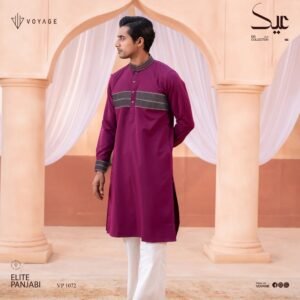Luxury Panjabi-1072